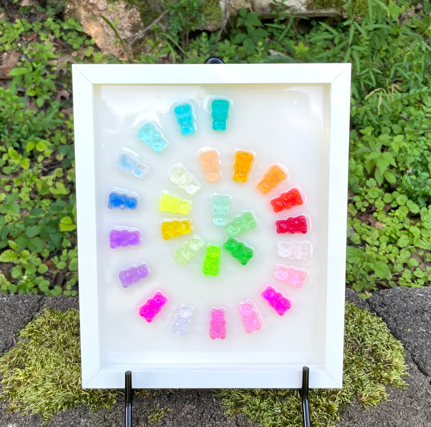 Nautilus Swirl Rainbow Resin 3D Gummy Bear Framed Art