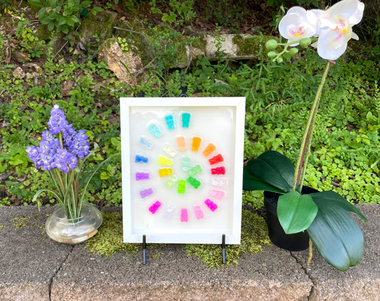 Nautilus Swirl Rainbow Resin 3D Gummy Bear Framed Art