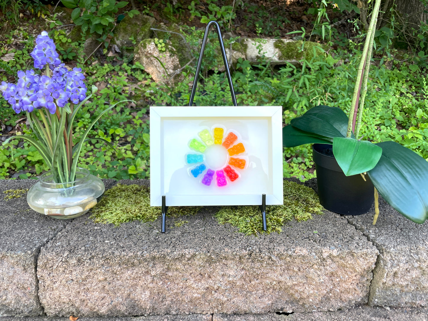 Rainbow Resin Gummy Bear 3D Framed Art - Small Circle